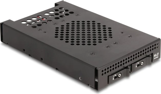 DeLOCK 3.5" Wechselrahmen 2x M.2 NVME SSD
