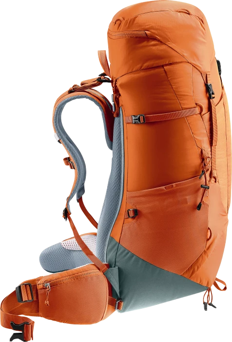 Deuter Aircontact Lite 50+10 chestnut/teal