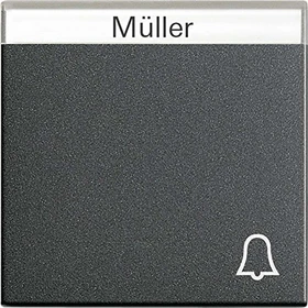 Gira System 55 Wippe mit Symbol Klingel und Beschriftungsfeld, anthrazit