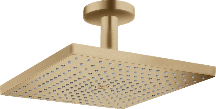 Hansgrohe Raindance Kopfbrause E 300 1jet