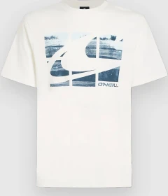 O'Neill Gradient T-Shirt kurzarm snow white 2 (Herren)