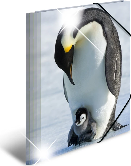 Herma Glossy Tiere Sammelmappe, A4, Pinguine