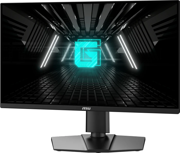MSI G255PFDE E2, 24.5"