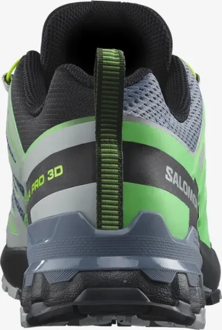 Salomon XA Pro 3D V9 GTX flint stone/green gecko/black (Herren)