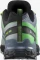 Salomon XA Pro 3D V9 GTX flint stone/green gecko/black (Herren) Vorschaubild