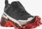 Salomon Cross Hike 2 GTX black/bitte chocolate/fiery red (Herren) Vorschaubild