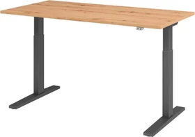 Hammerbacher Ergonomic Aktiv XMKA16 elektrisch höhenverstellbarer Sitz-Steh-Schreibtisch 160x80cm Asteiche/grau