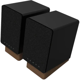 Onkyo GX-10DB schwarz, Paar
