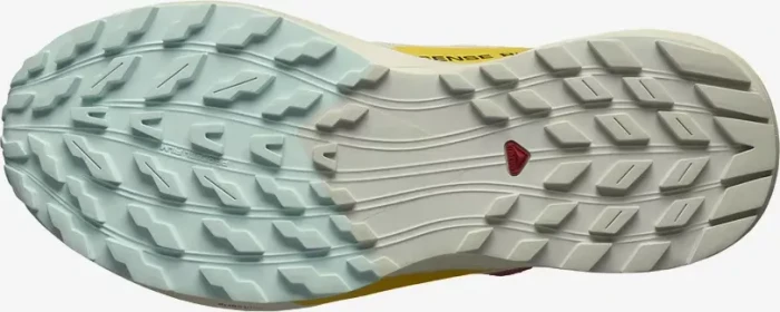 Salomon Sense Ride 5 rainy day/hot sauce/freesia (Damen)