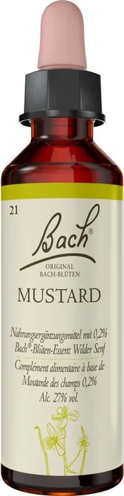 Bachblüte Mustard, 20 ml Image