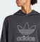 adidas Adicolor Outline Trefoil Hoodie schwarz (Herren) Vorschaubild