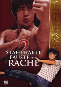 Zwei stahlharte Fäuste der Rache (DVD)