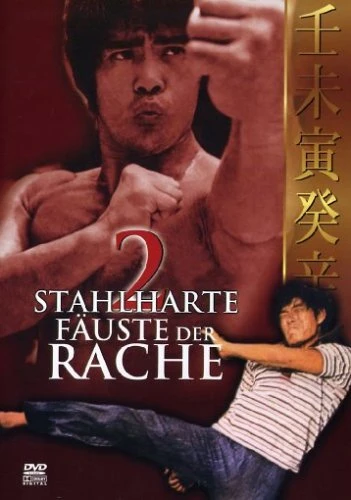 Zwei stahlharte Fäuste der Rache (DVD)