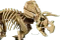 LEGO Jurassic World - Dinosaurier-Fossilien: Triceratops Vorschaubild