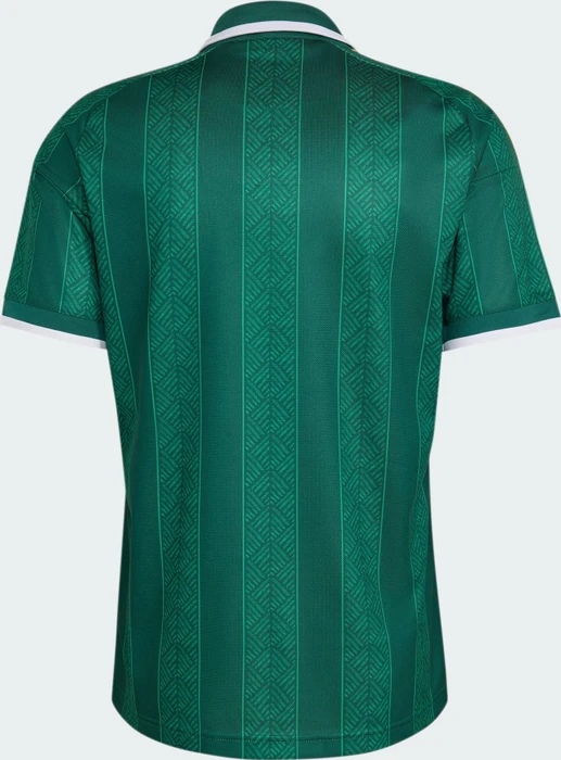 adidas FIFA WM 2026 Südafrika Auswärtstrikot kurzarm team dark green/team green (Herren)