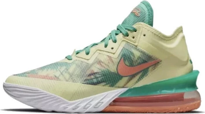 Nike LeBron 18