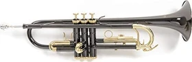 Roy Benson Bb-Trompete TR-101K