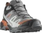 Salomon X Ultra 360 GTX quiet shade/black/spice route (Herren) Vorschaubild