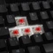 Ducky One RGB PBT schwarz, LEDs RGB, MX RGB RED, USB, DE Vorschaubild