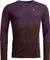 Ortovox 185 Rock'N'Wool Funktionsshirt langarm (Herren) Vorschaubild