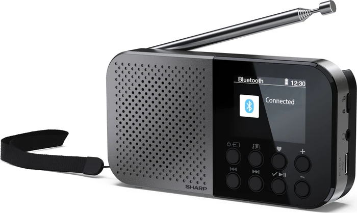 Sharp Osaka DR-P520 (DR-P520(GY))