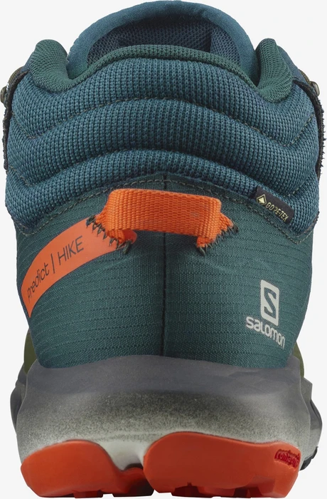 Salomon Predict Hike Mid GTX ponderosa pine/olive night/red orange (Herren)