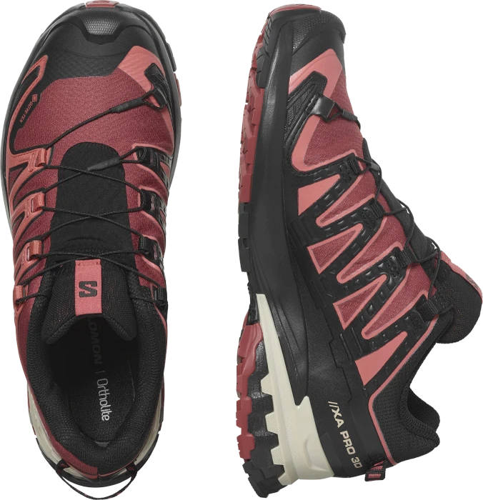 Salomon XA Pro 3D V9 GTX cow hide/black/faded rose (Damen)