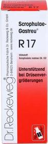 Dr.Reckeweg Scrophulae-Gastreu R17 Tropfen, 22ml