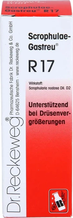 Dr.Reckeweg Scrophulae-Gastreu R17 Tropfen, 22ml