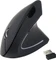 Equip Vertical Ergonomic Wireless Mouse schwarz, USB Vorschaubild