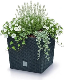 Prosperplast Rato Low 20x20cm anthrazit