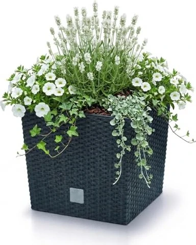 Prosperplast Rato Low 20x20cm anthrazit