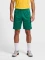 hummel Core XK Poly Trainingshose kurz grün Vorschaubild