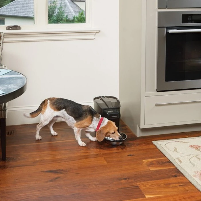 PetSafe Healthy Pet Simply Feed, Display, 5.6l, schwarz