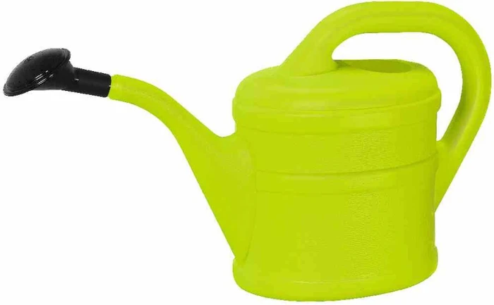 Geli Gießkanne mit Brause 2l