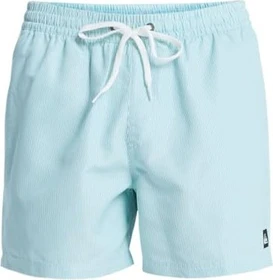 Quiksilver Everyday Deluxe 15" Badeshorts aqua (Herren)