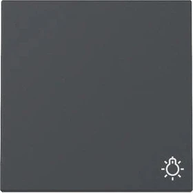 Gira Wippe mit Symbol Licht, anthrazit