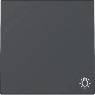 Gira Wippe mit Symbol Licht, anthrazit