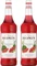 Monin Wassermelone Vorschaubild