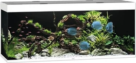 Juwel Rio 450 LED Aquarium-Set, weiß, 450l
