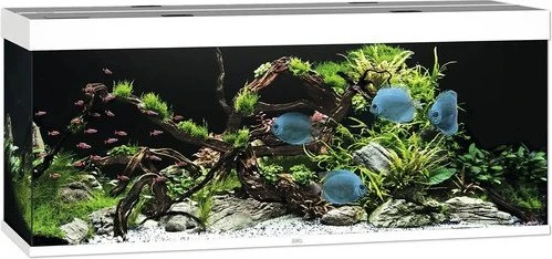Juwel Rio 450 LED Aquarium