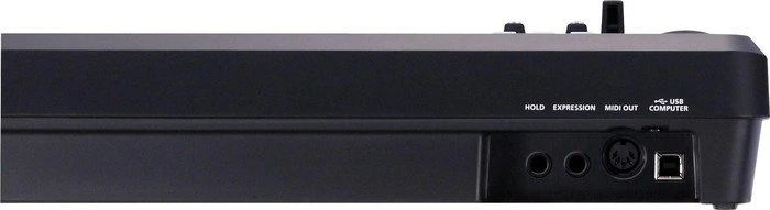 Roland A-49 schwarz