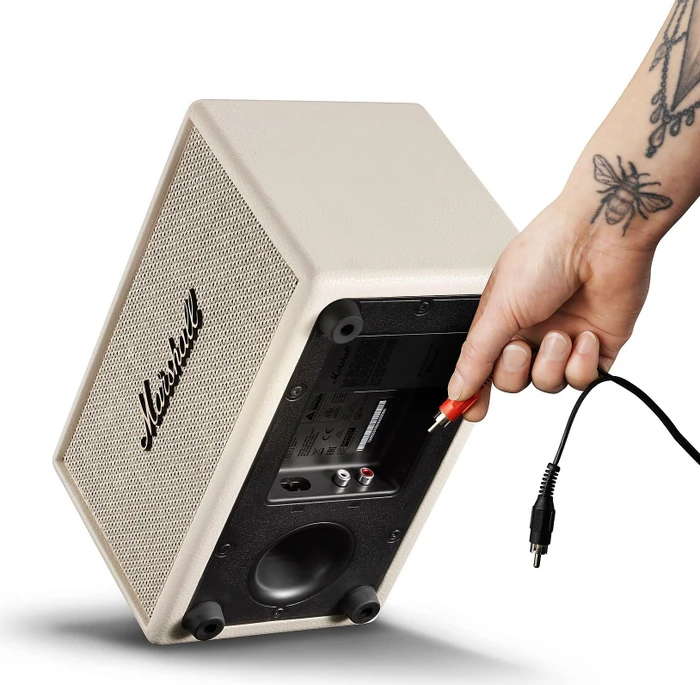 Marshall Acton IV Cream