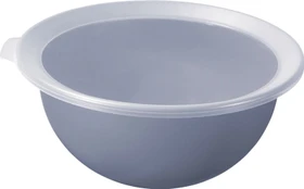 Rotho Caruba Schüssel mit Deckel 1.8l horizontblau