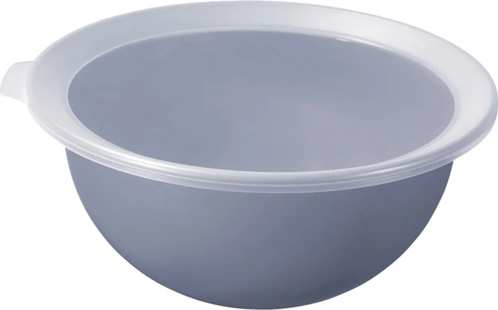 Rotho Caruba Schüssel mit Deckel 1.8l horizontblau