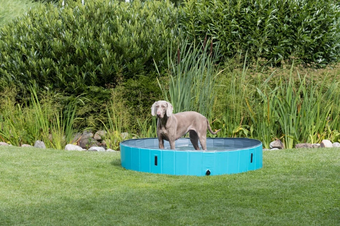 Trixie Hundepool, 70cm