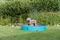Trixie Hundepool, 70cm Vorschaubild