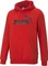 Puma Essentials Big Logo Hoodie (Herren) Vorschaubild