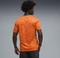 Puma FIFA WM 2026 Elfenbeinküste Heimtrikot kurzarm rickie orange/sport green (Herren) Vorschaubild