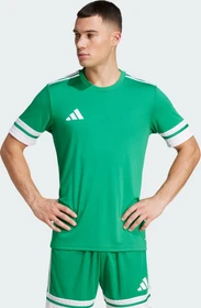 adidas Squadra 25 Trikot kurzarm team green/white (Herren)